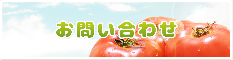 お問い合わせ
