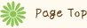 Page Top
